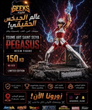 TSUME ​Saint Seiya Pegasus Seiya Resin Statue Collectible H54cm Stock Gift - No Box 📦